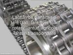 Lanturi de transmisie - lant gall , lant flyer , lant rotary